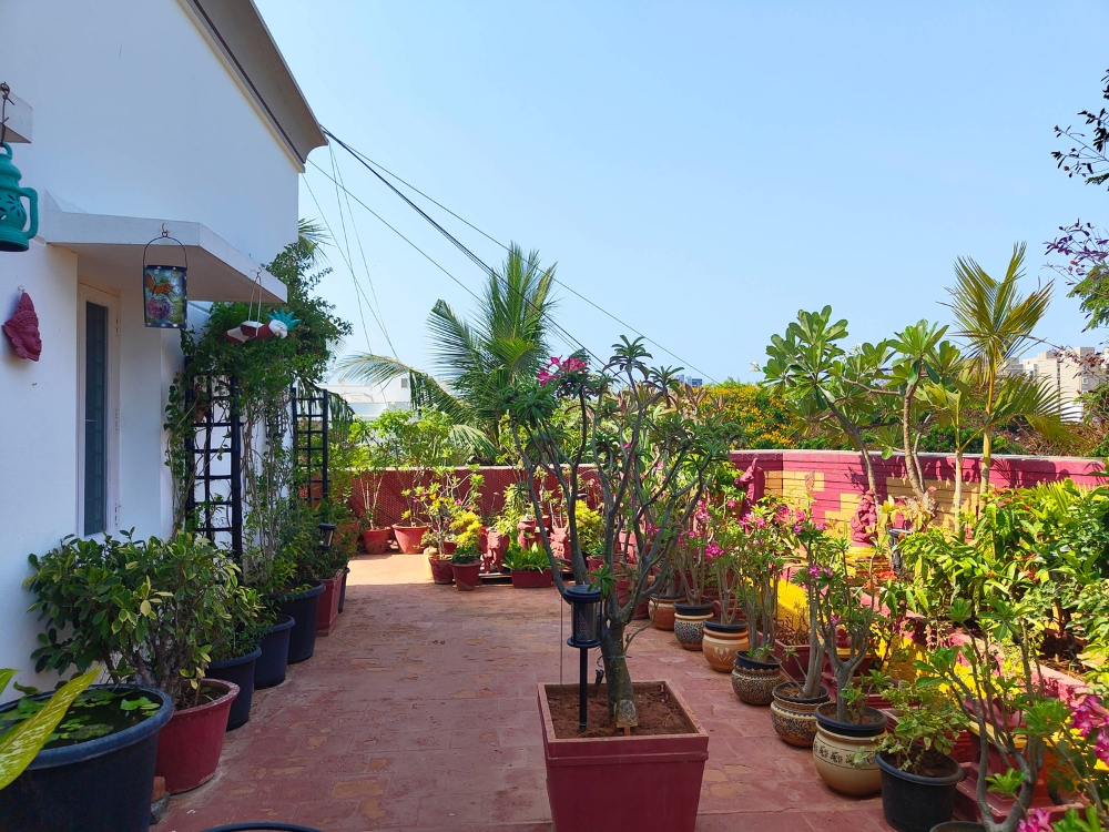 3BHK-Apartment-for-Sale-in-RA-Puram-1