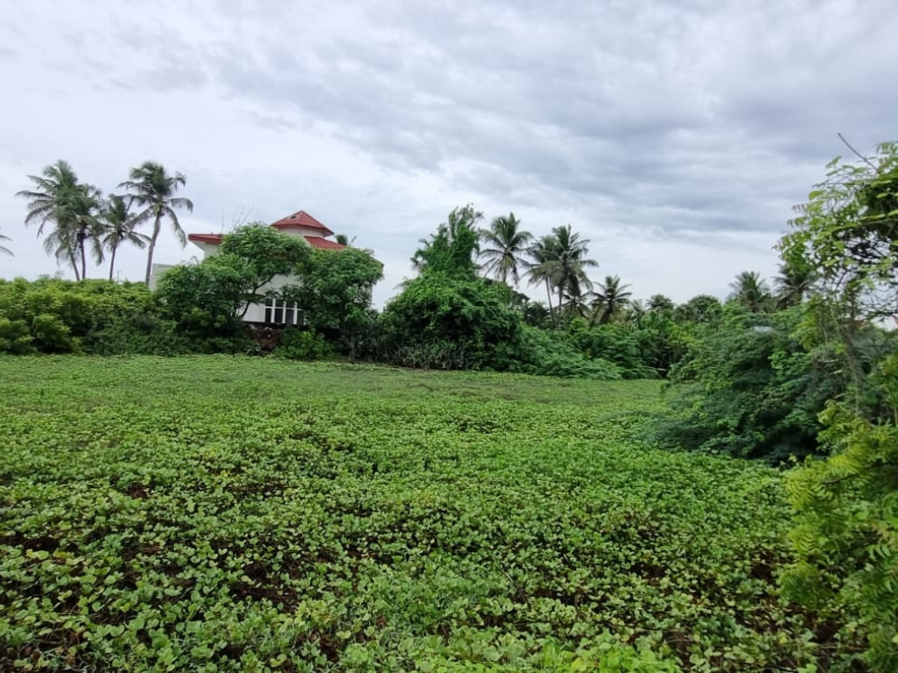 Land for Sale in Uthandi 3