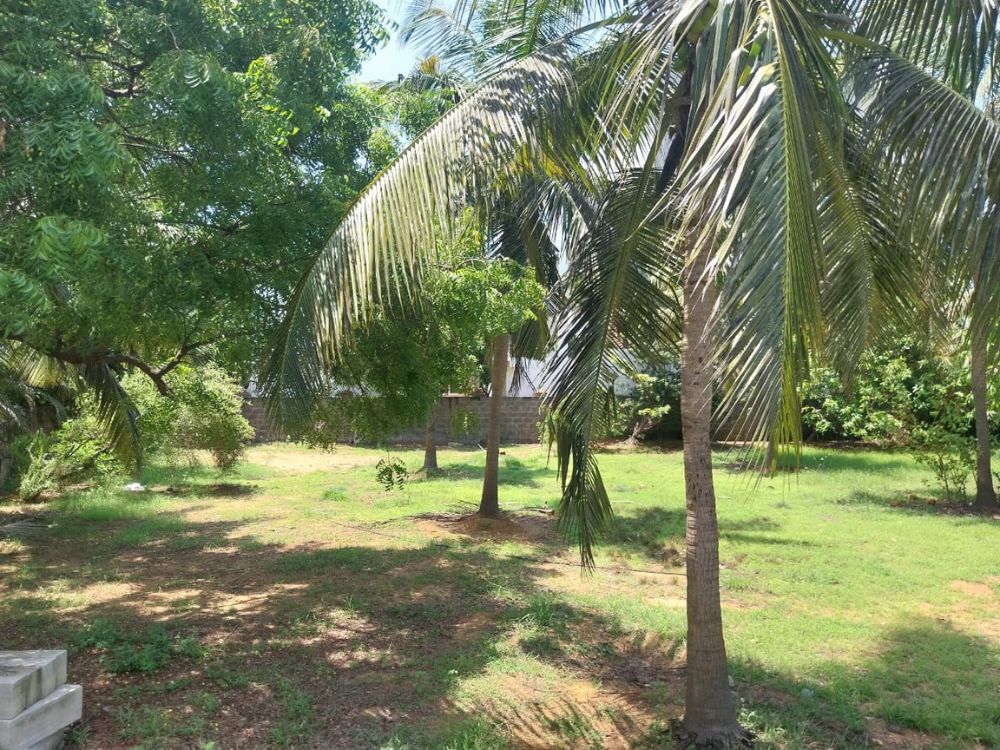 Land for sale in Akkarai