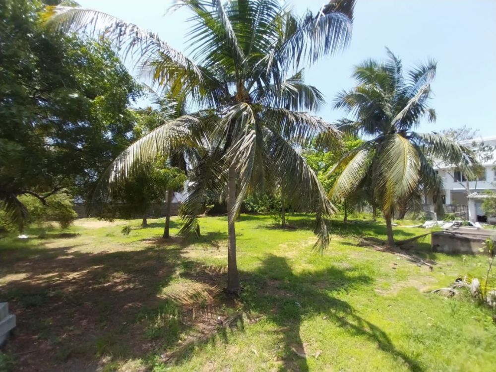 Land for sale in Akkarai